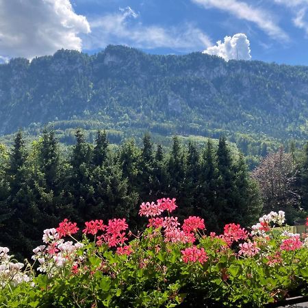 Ferienwohnung Mit Seeblick, Unterach Am Attersse 운터라흐 암 아터제 외부 사진