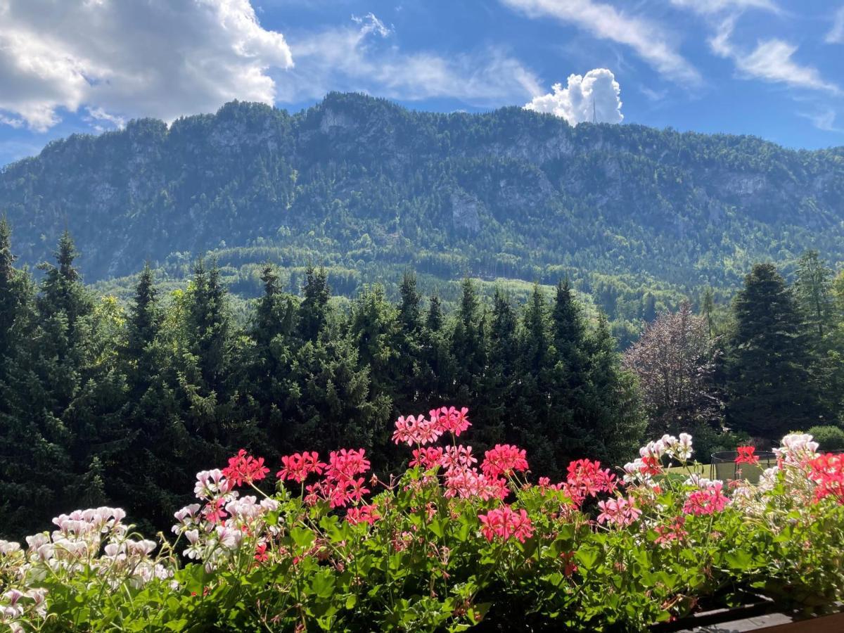Ferienwohnung Mit Seeblick, Unterach Am Attersse 운터라흐 암 아터제 외부 사진
